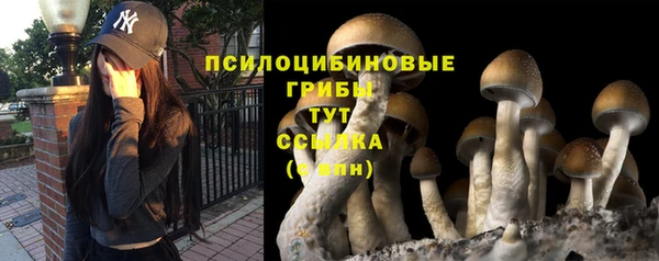 героин Верея