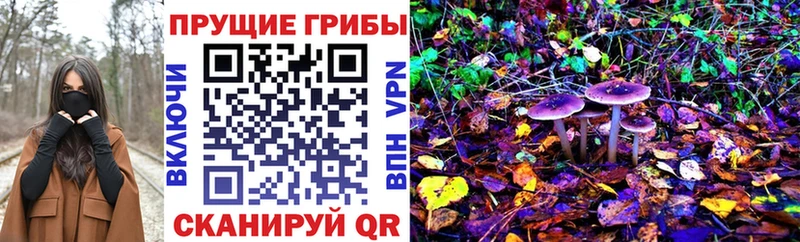 Галлюциногенные грибы ЛСД  Купить закладки  Лесной 
